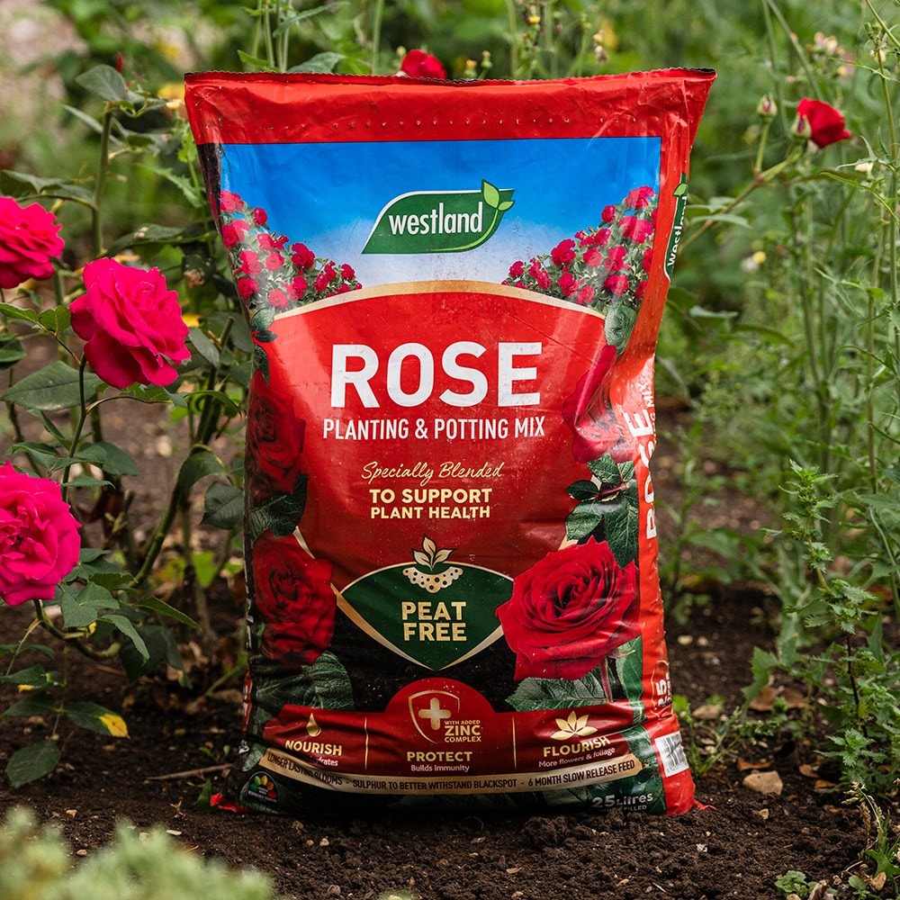 Rose planting & potting mix - peat-free