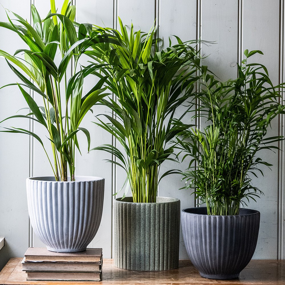 Ribbed terracotta plant pot - light grey