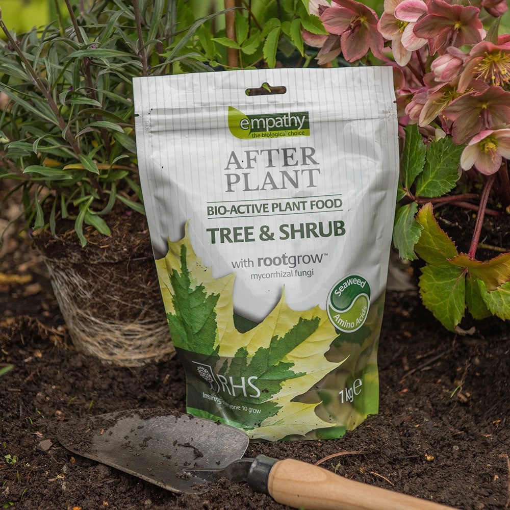 Product options image