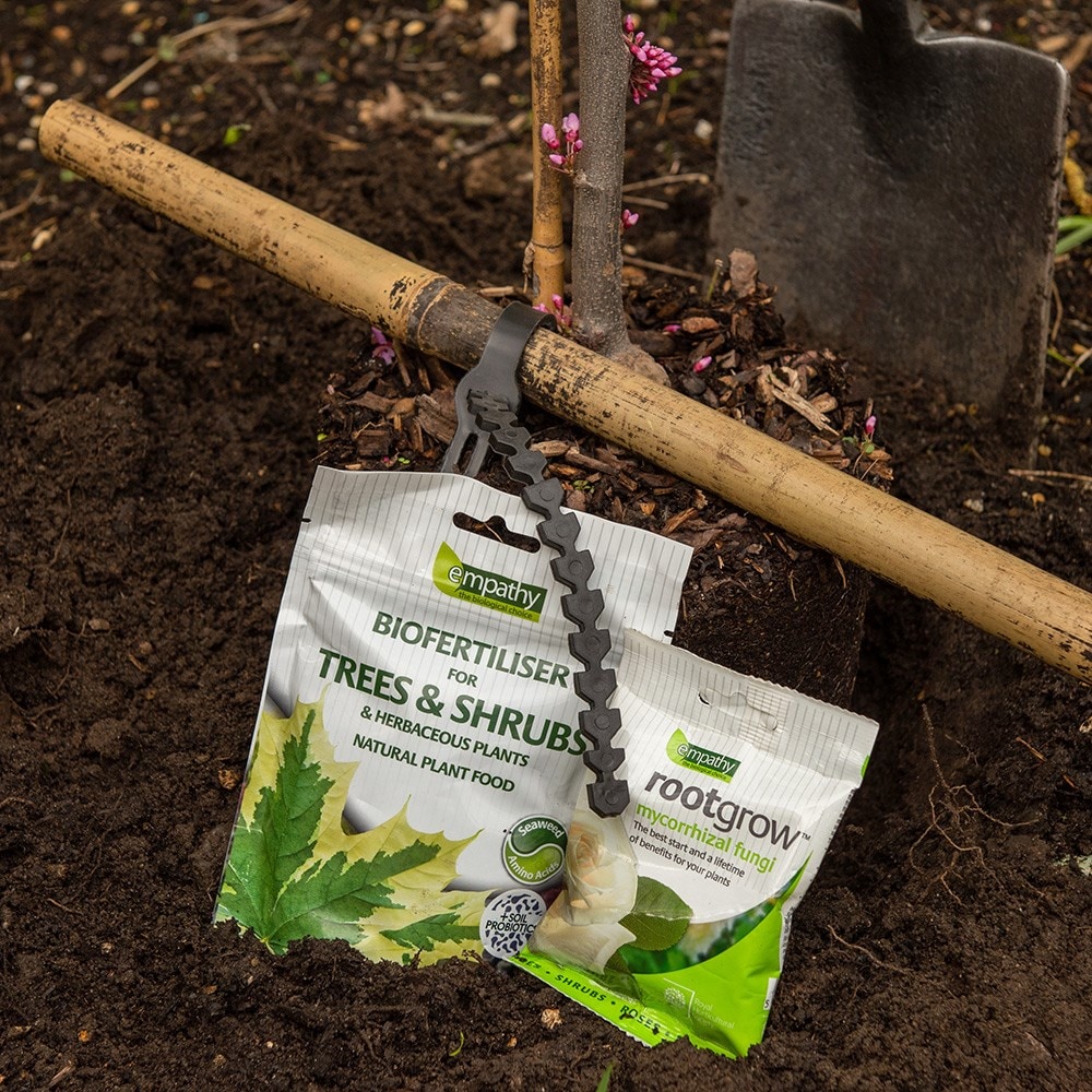 Product options image