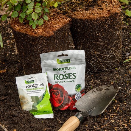 Planting kit for 3 to 4 roses with rootgrow