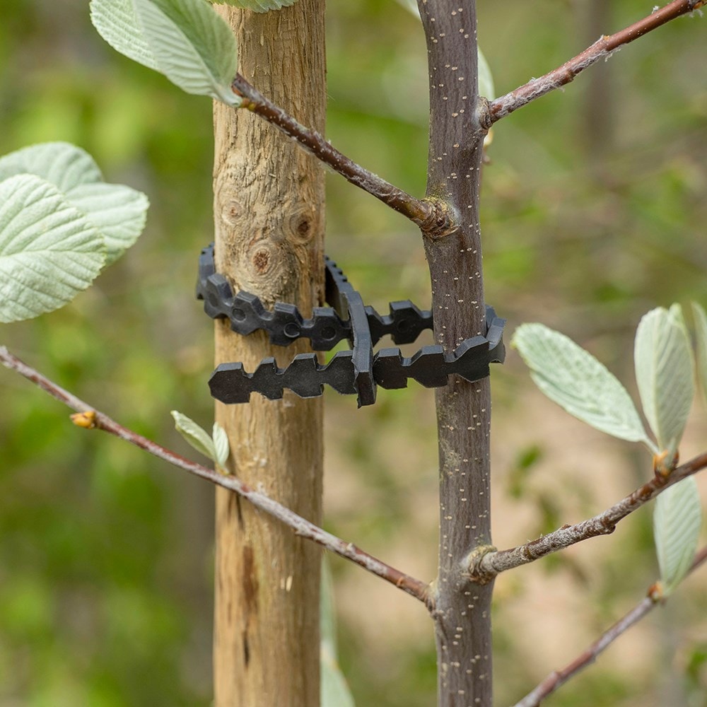 Product options image