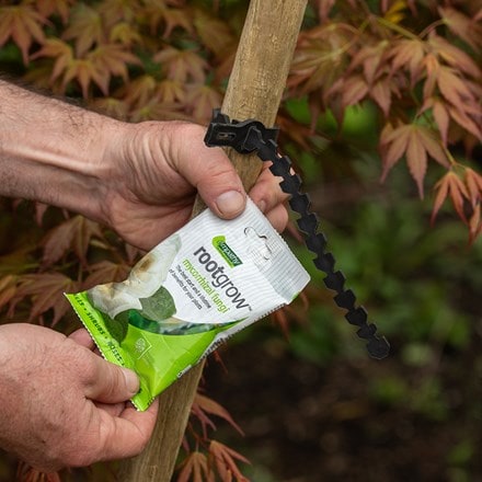 Essential tree planting kit with softwood stake