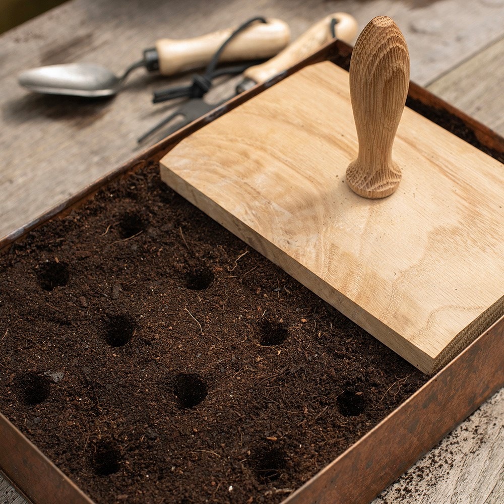 Multi seed tray dibber