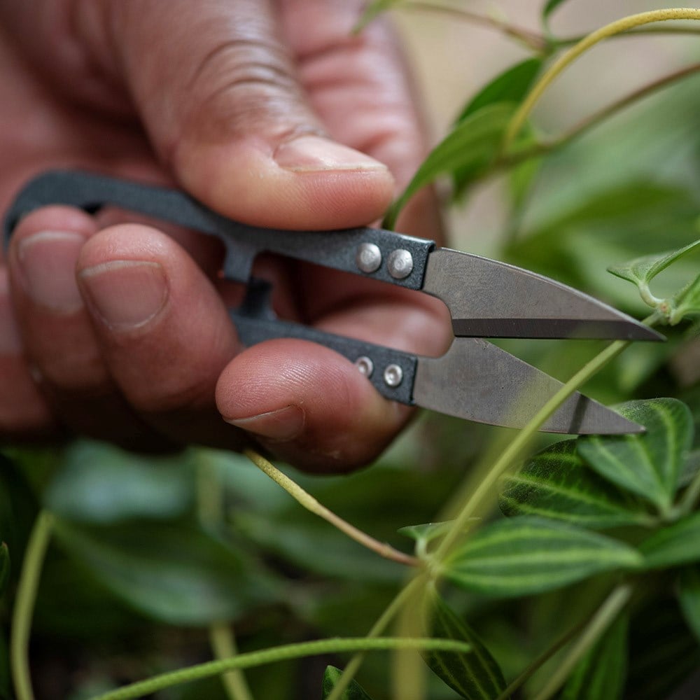 Steel garden snips with leather pouch