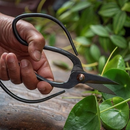Large steel garden scissors with leather pouch