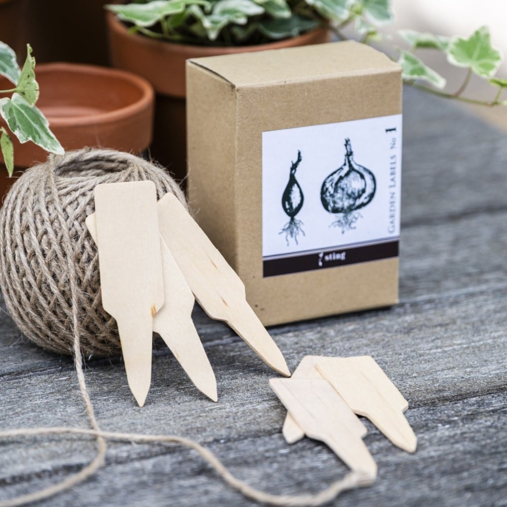 Garden plant labels - box of 60