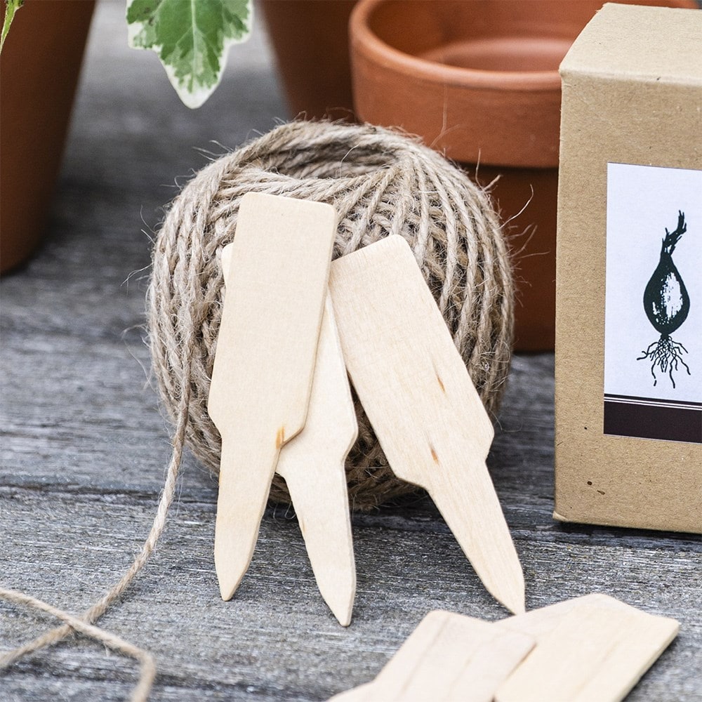 Garden plant labels - box of 60