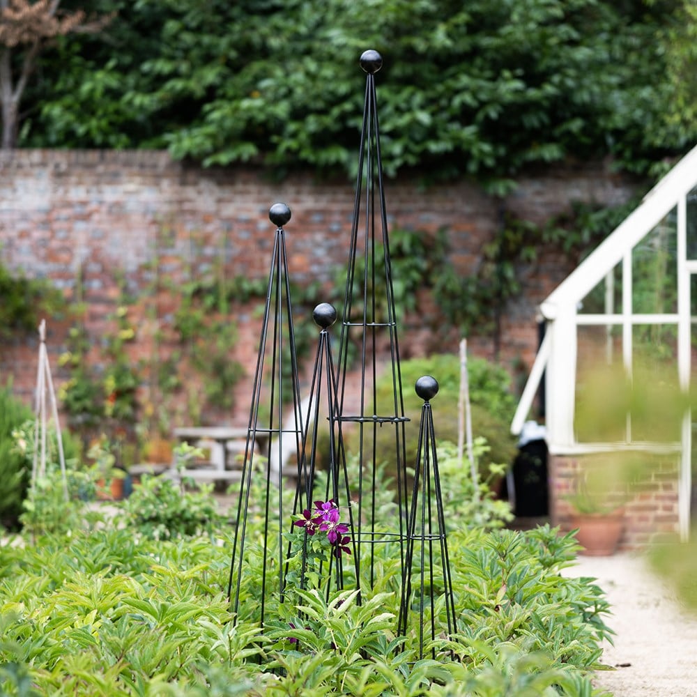 Product options image