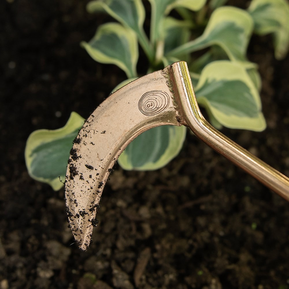 Product options image