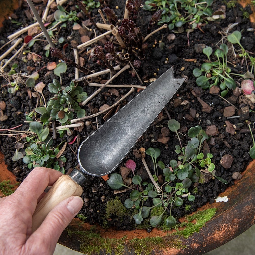 Product options image