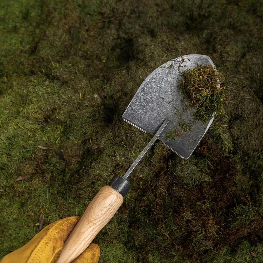 Product options image