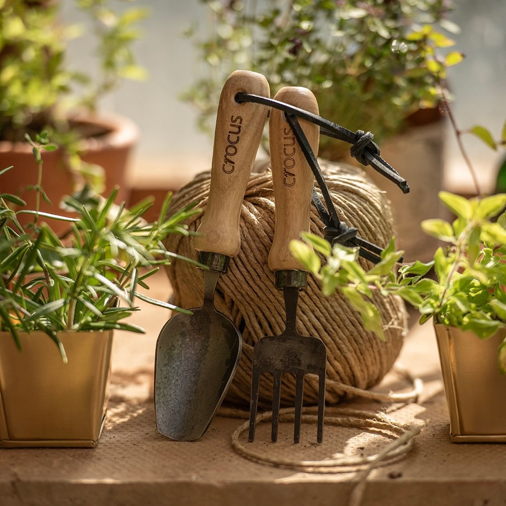 Product options image