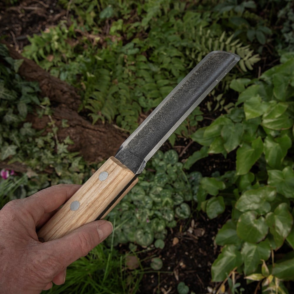 Product options image