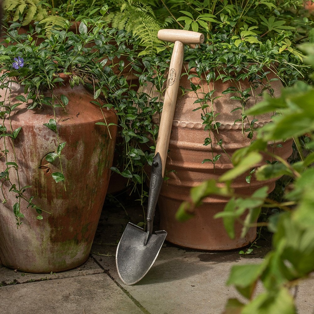 Product options image