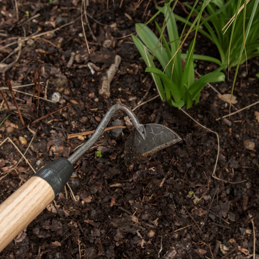 Product options image