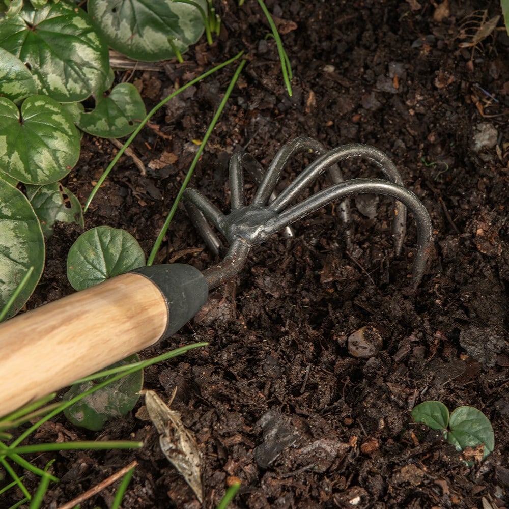 Product options image