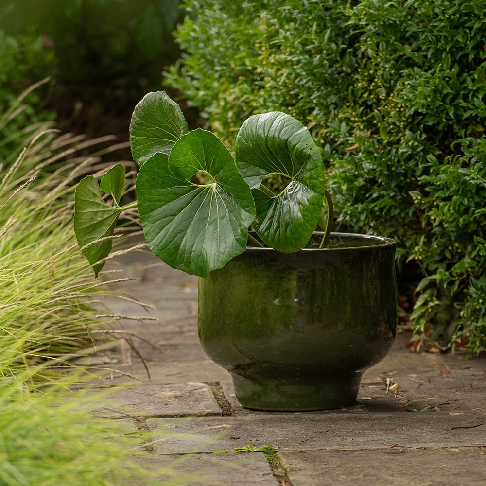 Glazed ceramic planter - khaki