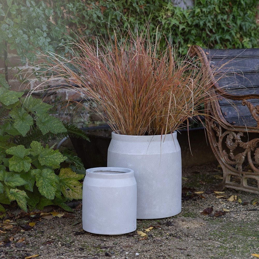 Buy Pots & containers - Location: Outdoors - Delivery by Waitrose 