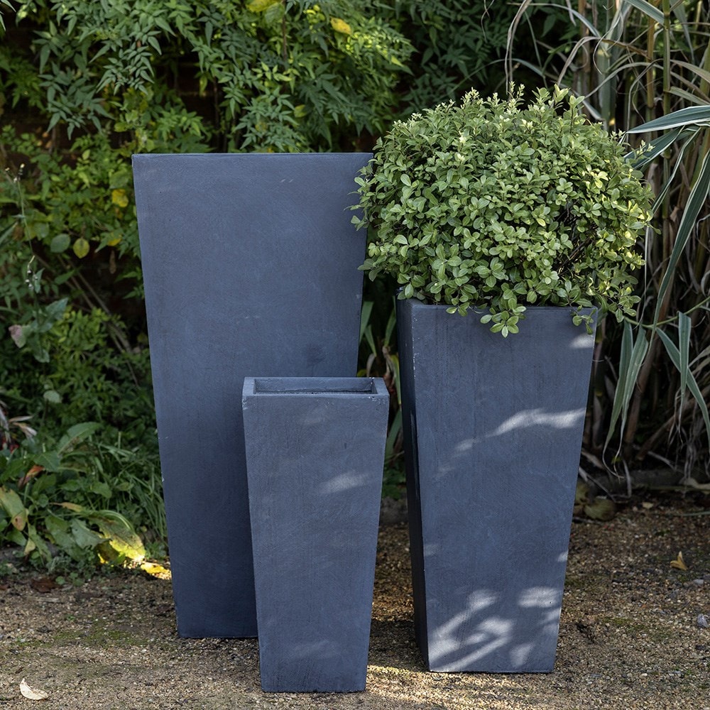 Product options image