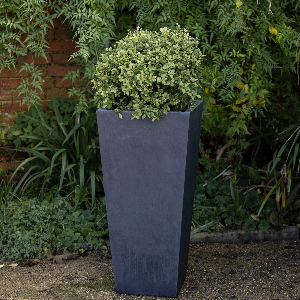 Tapered planter - dark grey