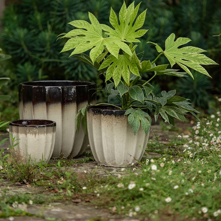 Scalloped glazed plant pot - ombre 