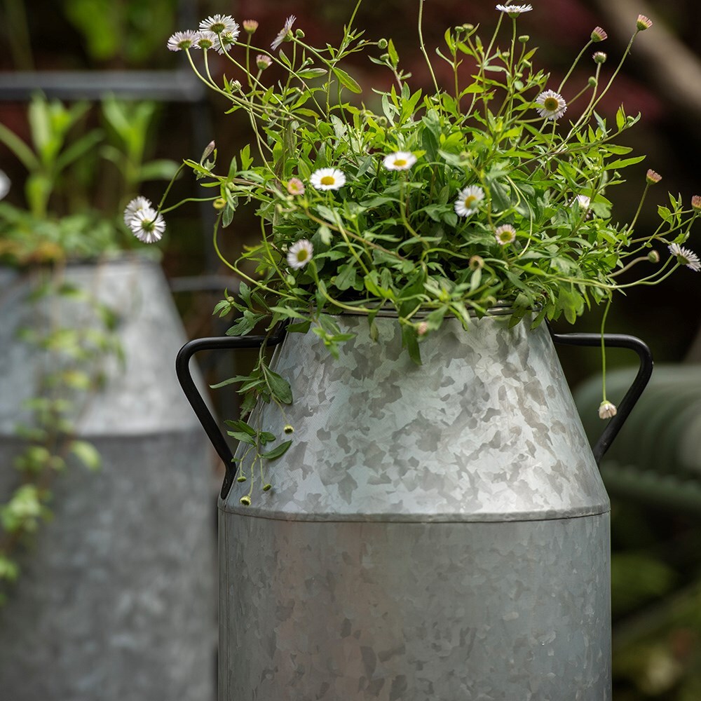 Buy Galvanised metal churn pot with removable liner pot