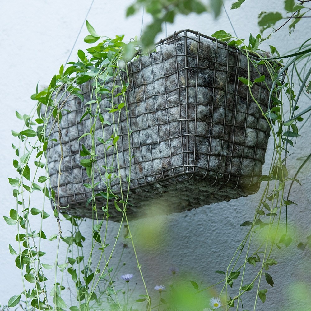 Product options image