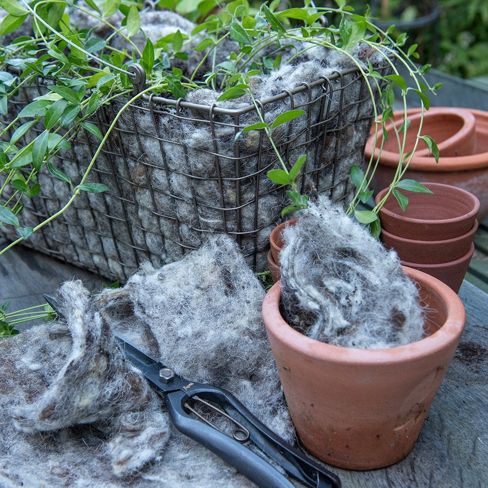 Wool pads - set of 5