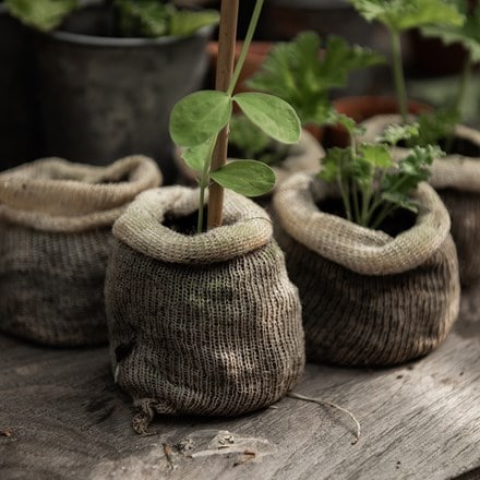 Wool pots - pack of 10