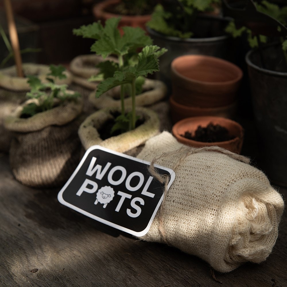 Wool pots - pack of 10