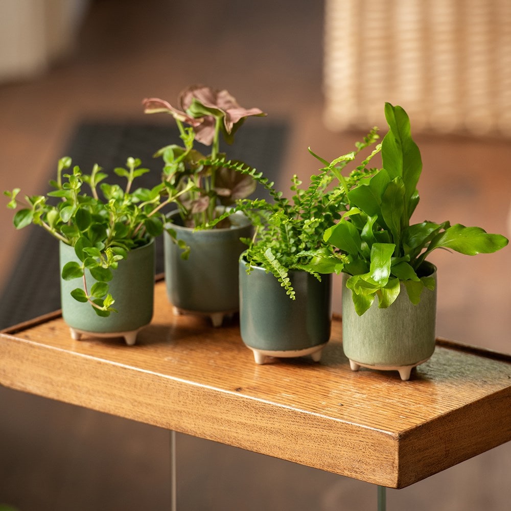 Buy Mini reactive glaze plant pot with feet set of 4 - blue & green ...