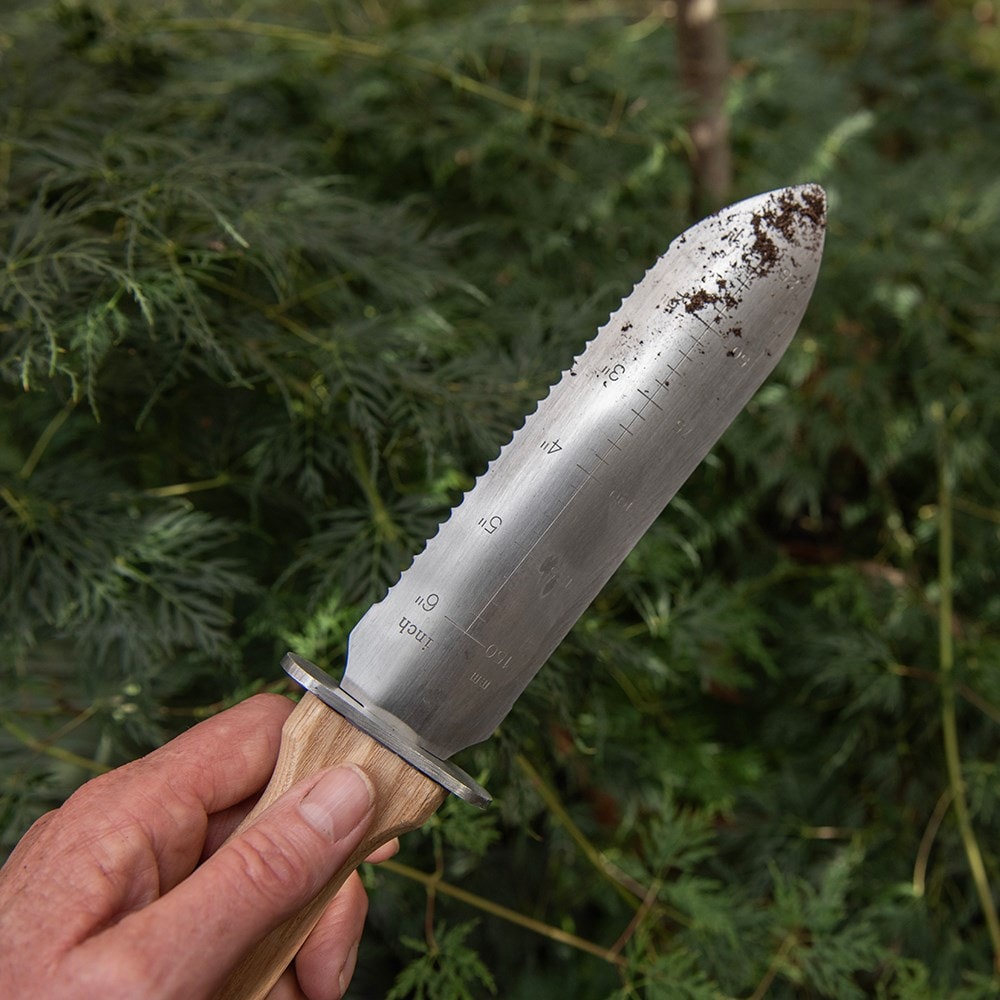 Product options image