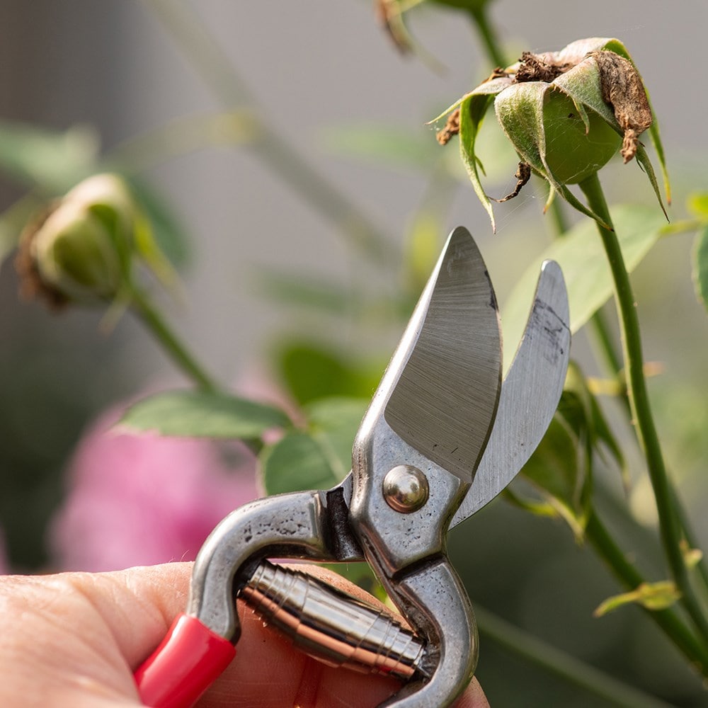Compact pruner - red