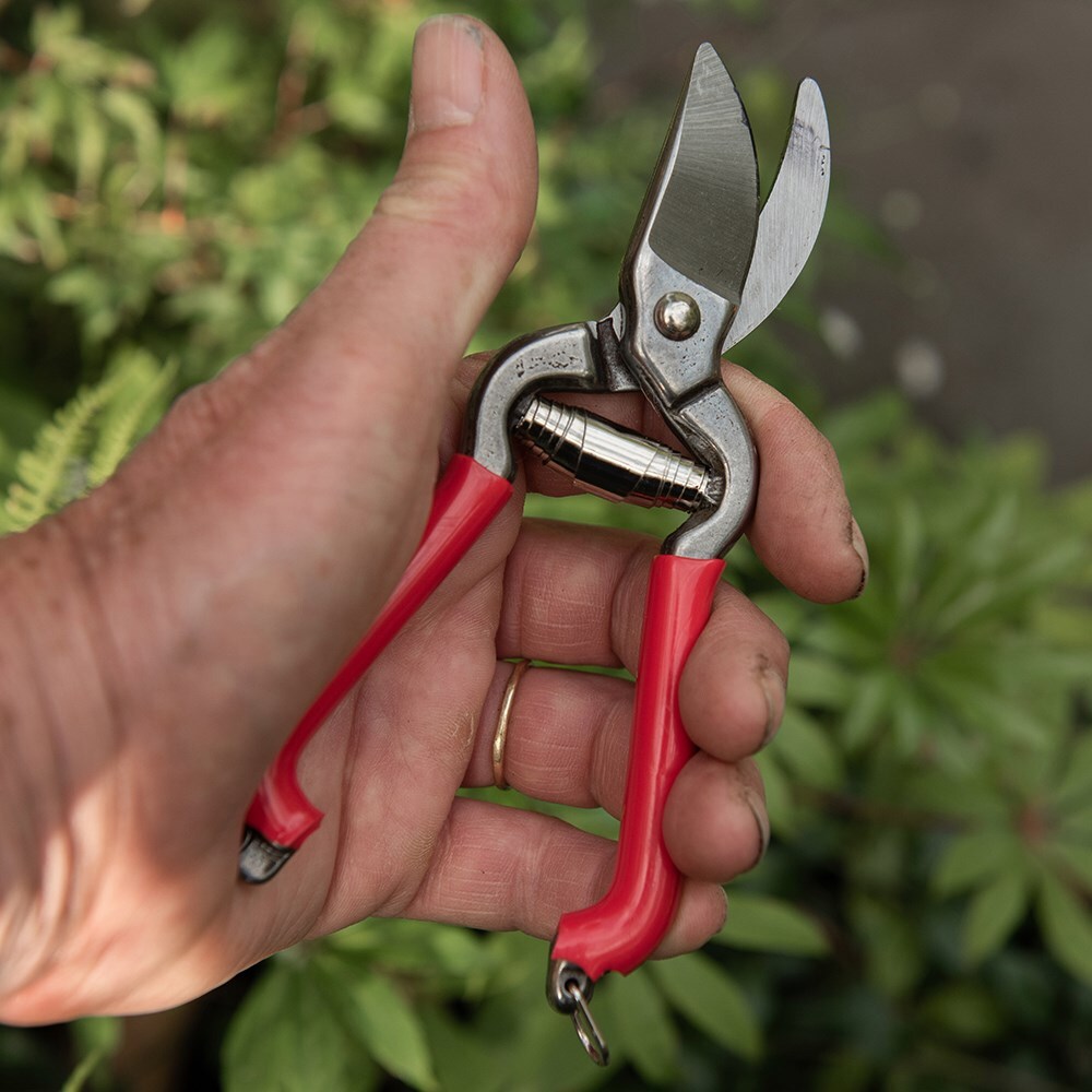 Compact pruner - red