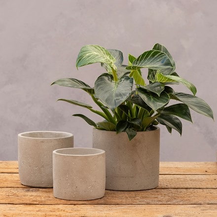 Cement round plant pot - light grey