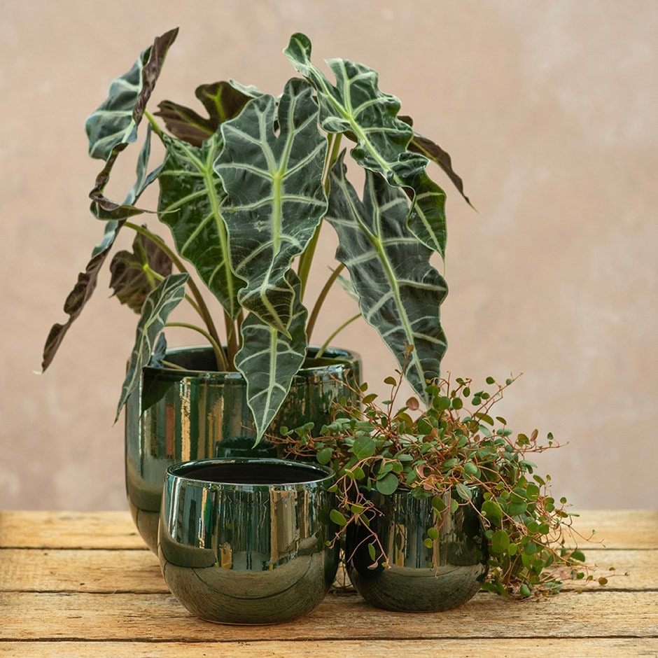 Glazed round plant pot - dark green
