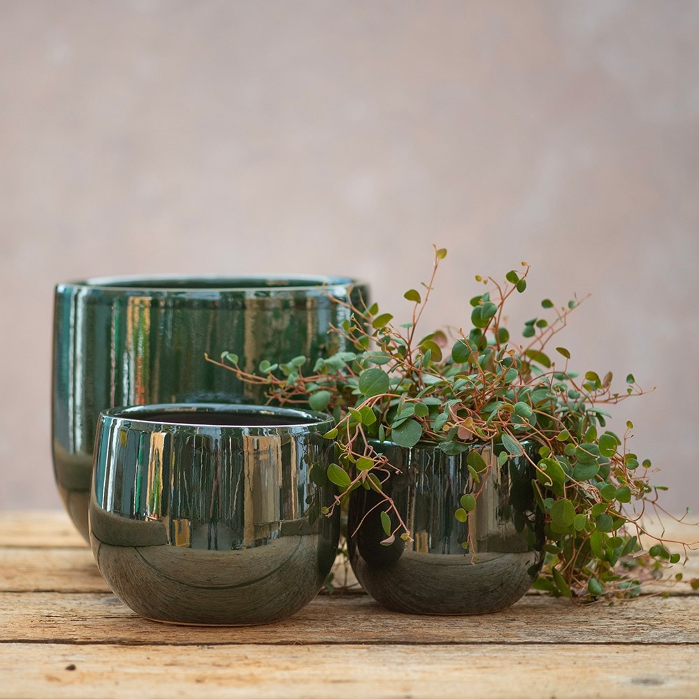 Glazed round plant pot - dark green