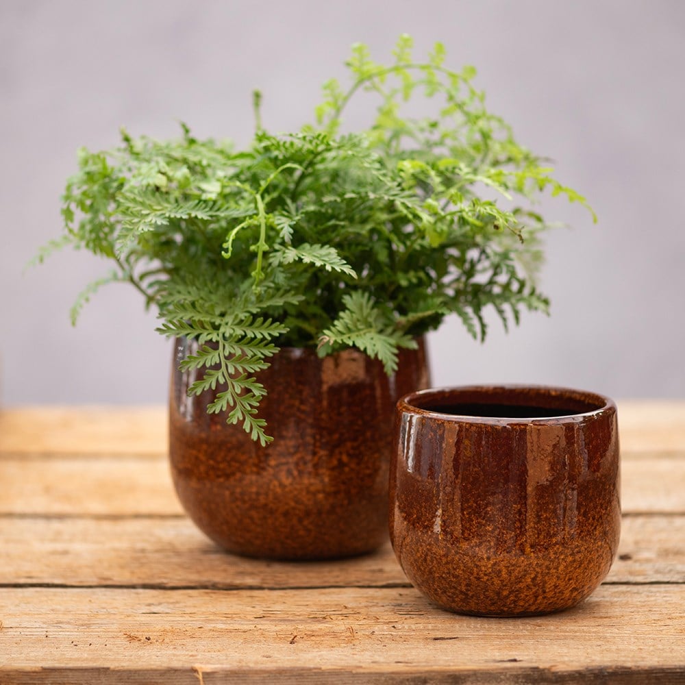 Product options image