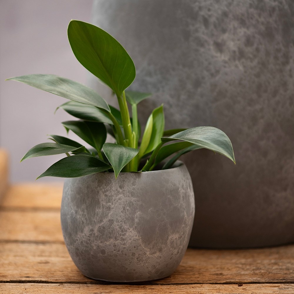 Stone effect round plant pot - light grey