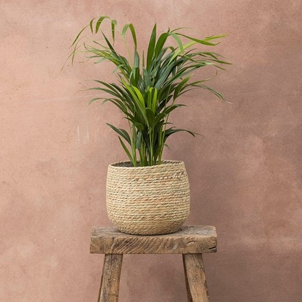 Round woven seagrass basket - natural
