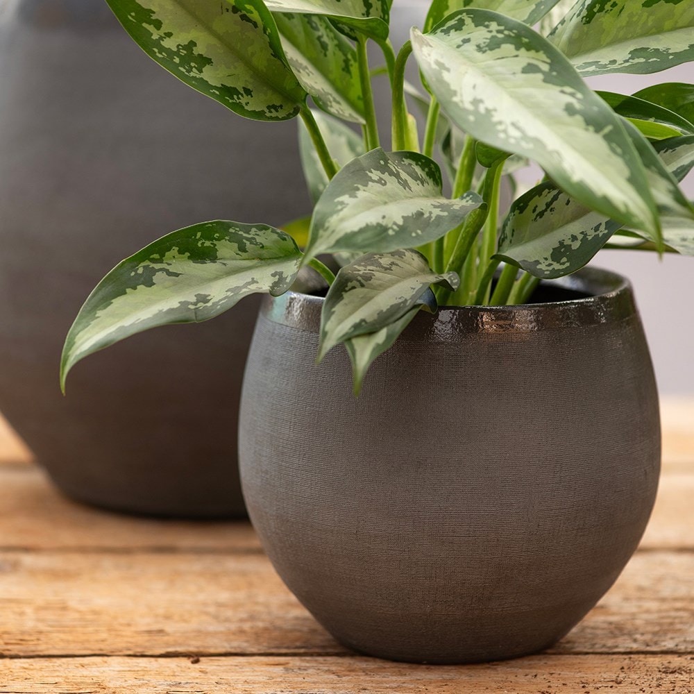 Round glazed ombre plant pot - dark grey