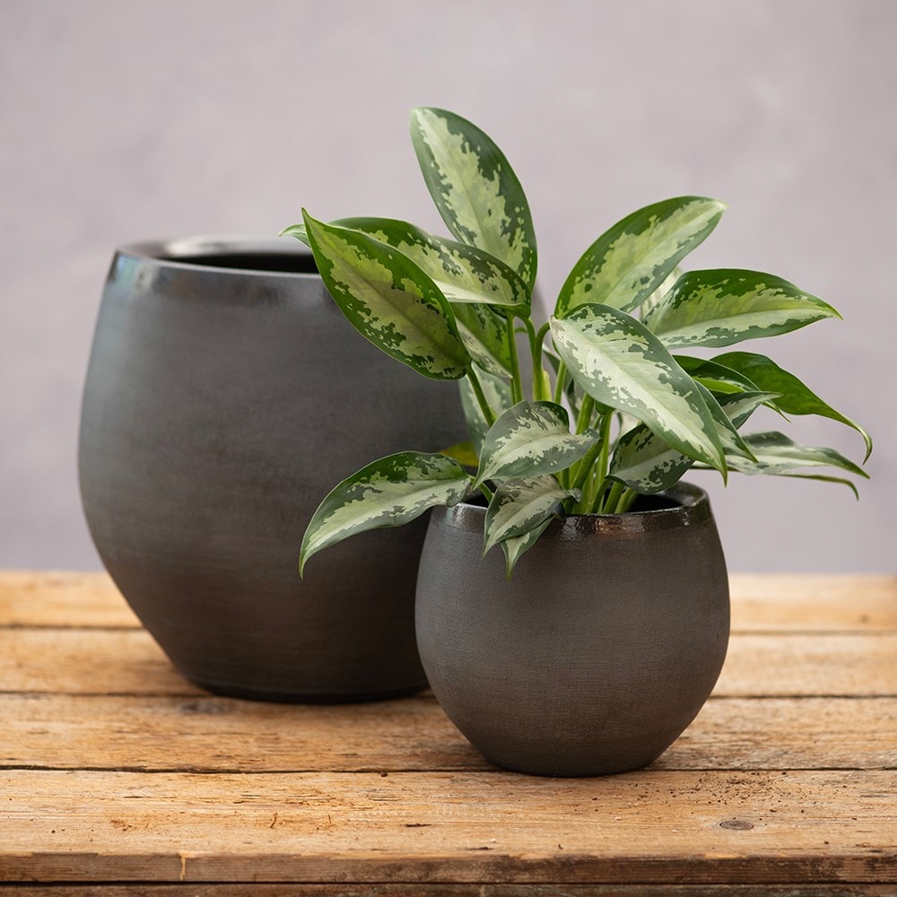 Round glazed ombre plant pot - dark grey