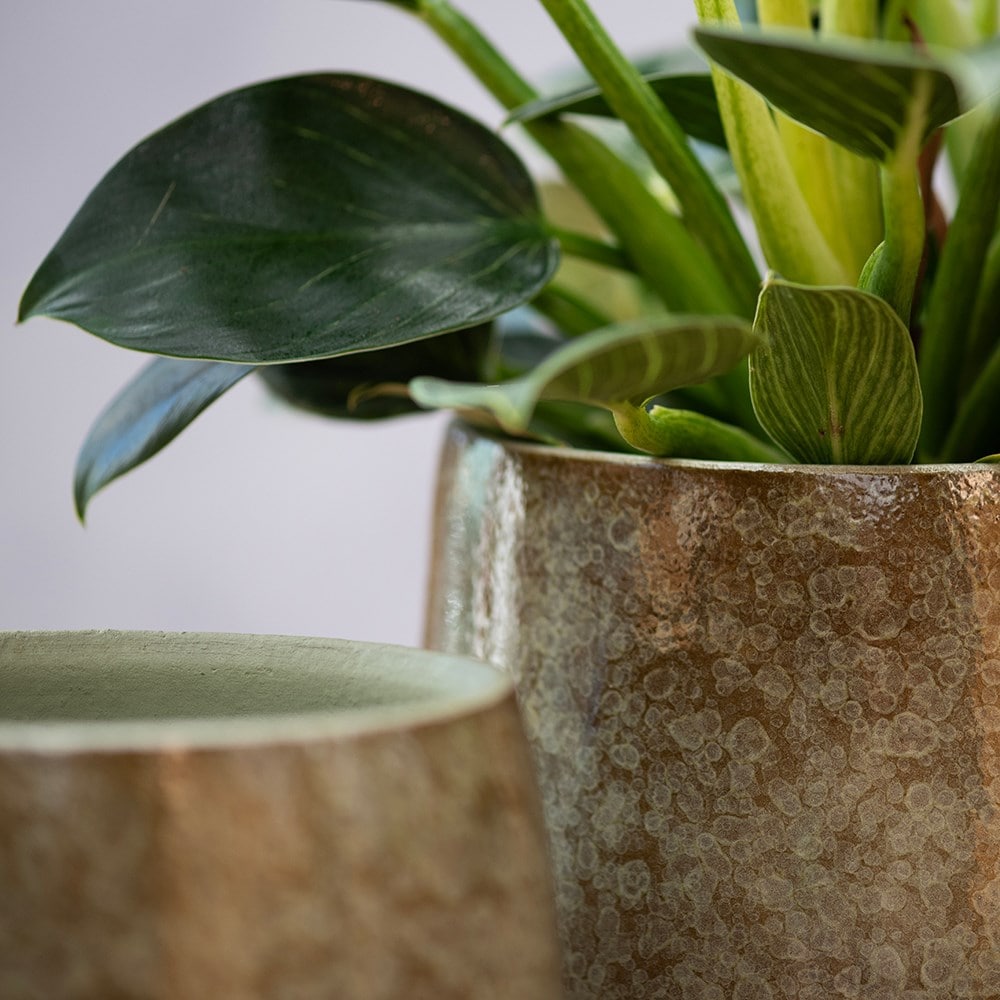 Glazed speckled plant pot - green