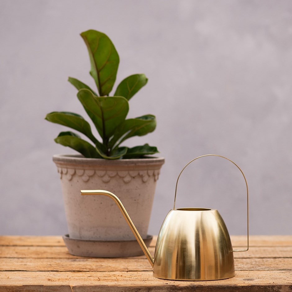 Indoor watering can - gold