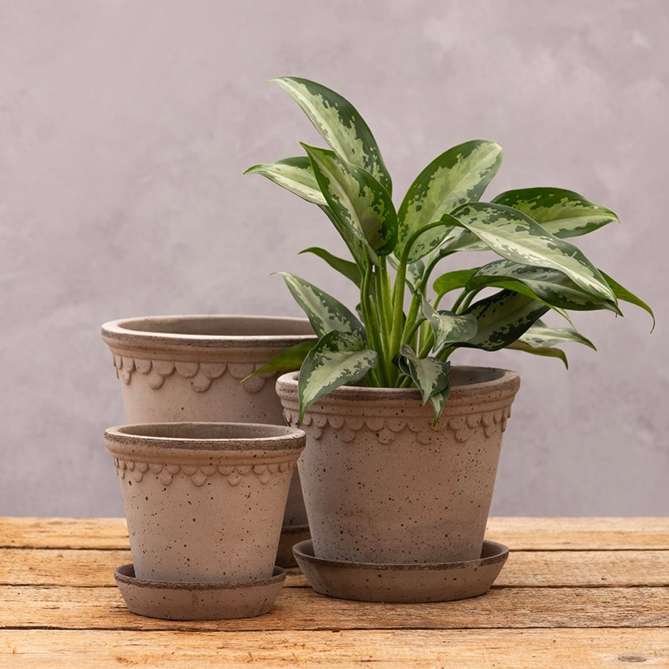Scalloped tapered plant pot with saucer - grey terracotta