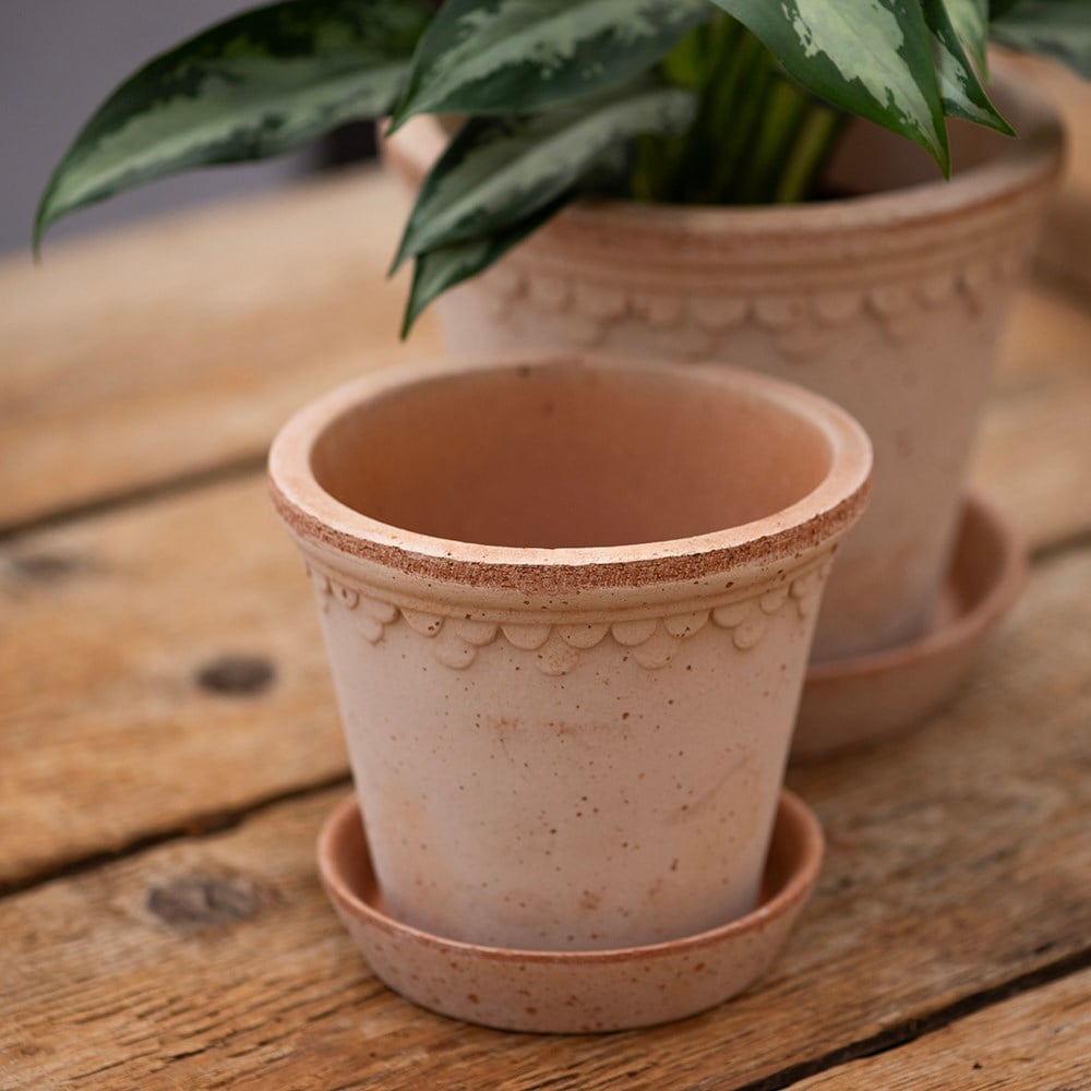 Scalloped tapered plant pot with saucer - terracotta