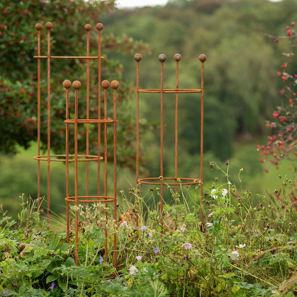 Product options image