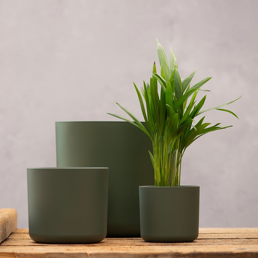 Straight edged plant pot - dark green