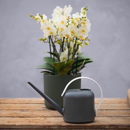 Watering can - anthracite